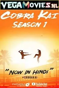 cobra kai netflix original 2018 , TheMoviesFlix - TheMoviesFlix.Digital