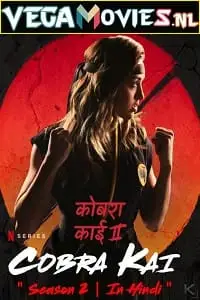 cobra kai netflix original 2019 , TheMoviesFlix - TheMoviesFlix.Digital