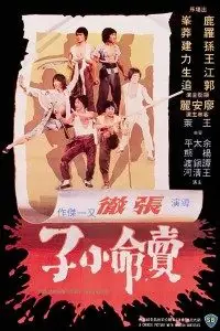 the magnificent ruffians 1979 , TheMoviesFlix - TheMoviesFlix.Digital
